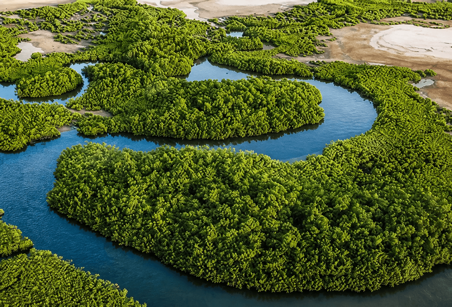 Sine-Saloum